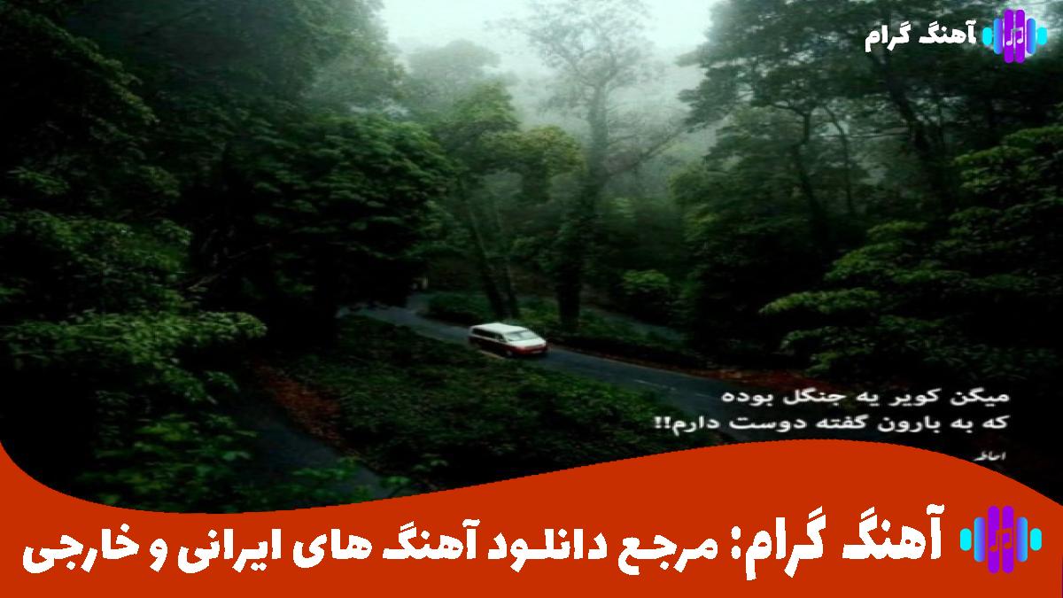 کاور آهنگ مهره مار داری تو دلبری از سعید آسایش